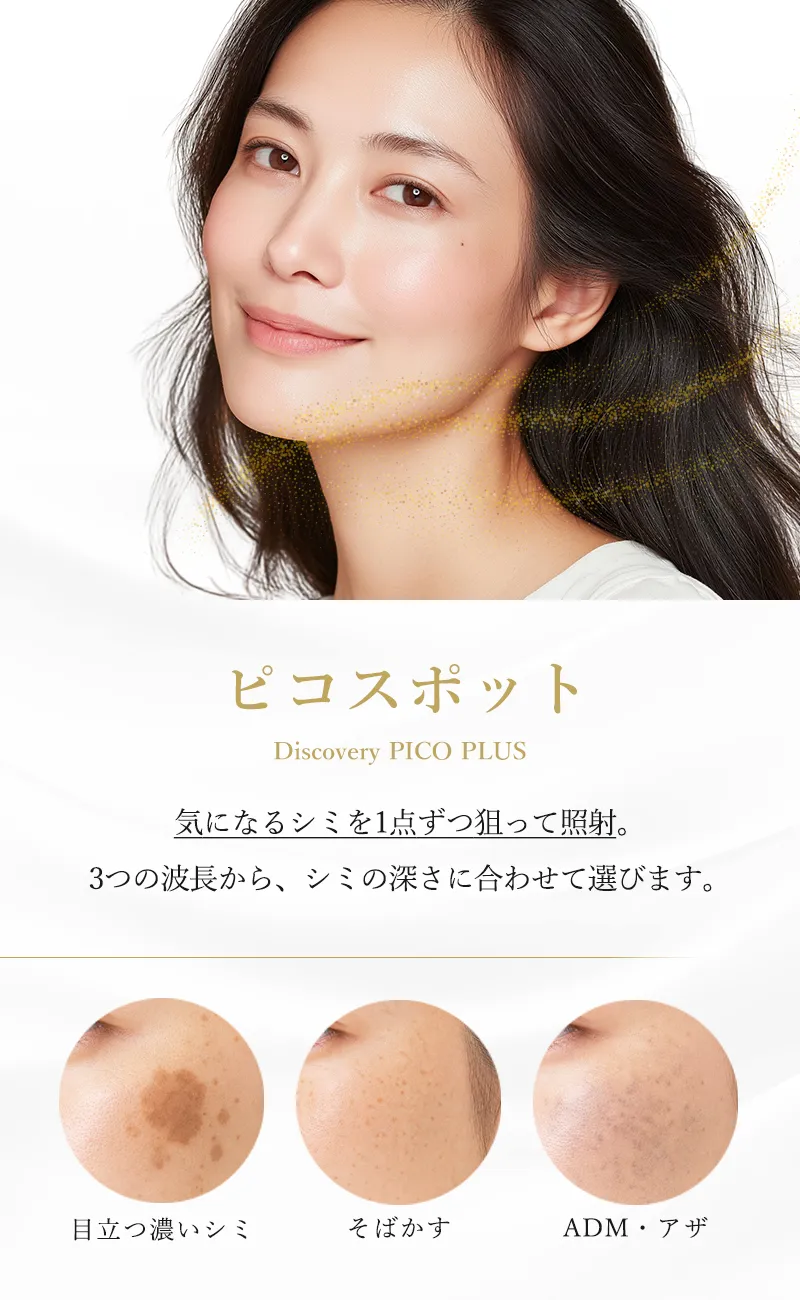 ピコスポット(ディスカバリーピコ Plus)